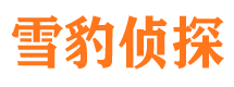 江南调查公司